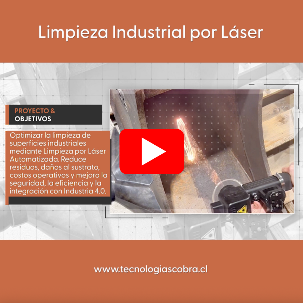 servicios de ingenieria - COBRA