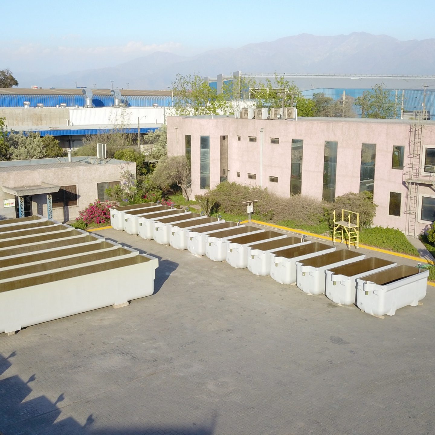 Servicio y Suministro - COBRA